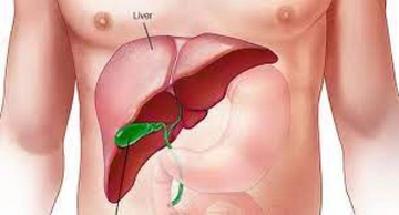 Karaciğer Hemanjiom Ameliyatı Riskleri ve Sonrası